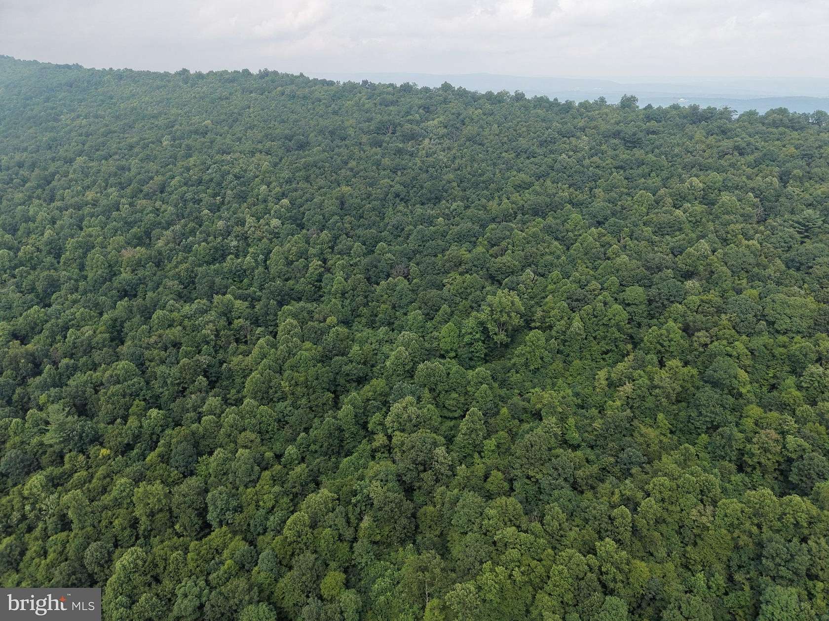 31 Acres of Recreational & Residential Land for Auction in Warfordsburg, Pennsylvania