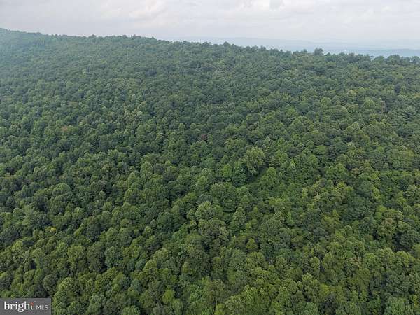 31 Acres of Recreational & Residential Land for Auction in Warfordsburg, Pennsylvania