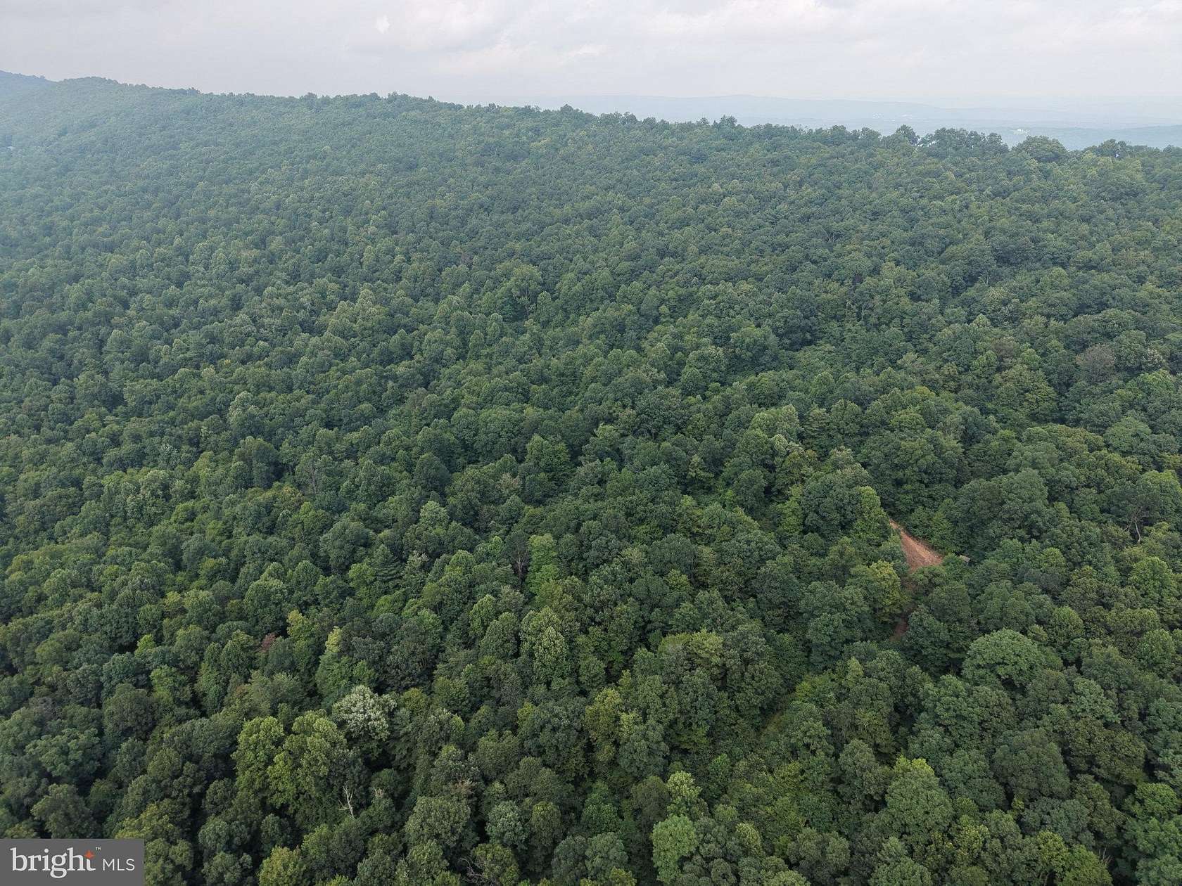 33.2 Acres of Recreational & Residential Land for Auction in Warfordsburg, Pennsylvania