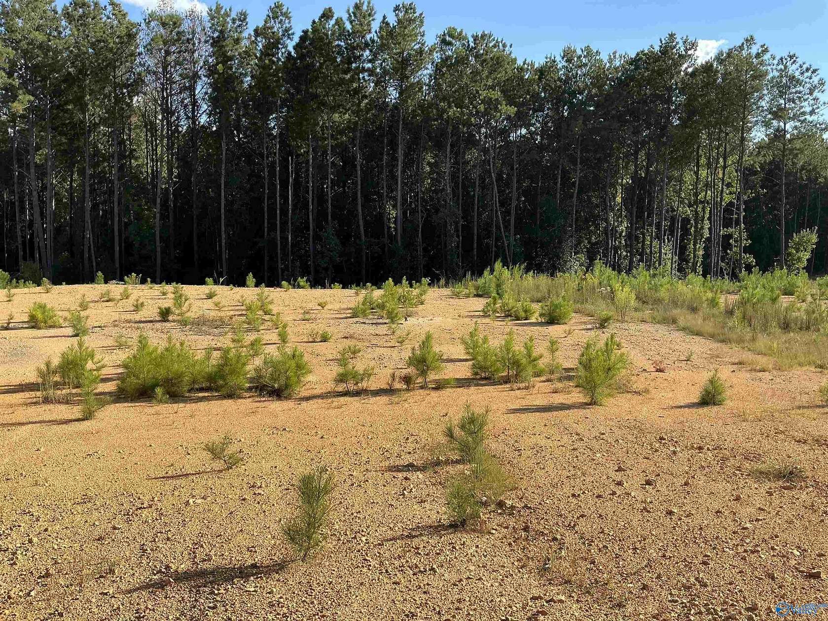 0.65 Acres of Residential Land for Sale in Riverside, Alabama