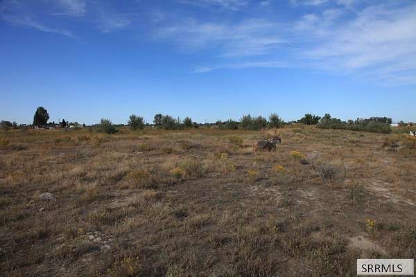 11.8 Acres of Land for Sale in Pingree, Idaho