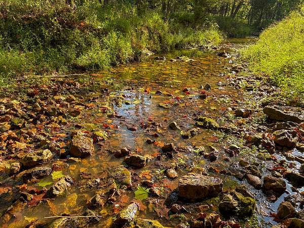 1,936 Acres of Land for Sale in Alton, Missouri
