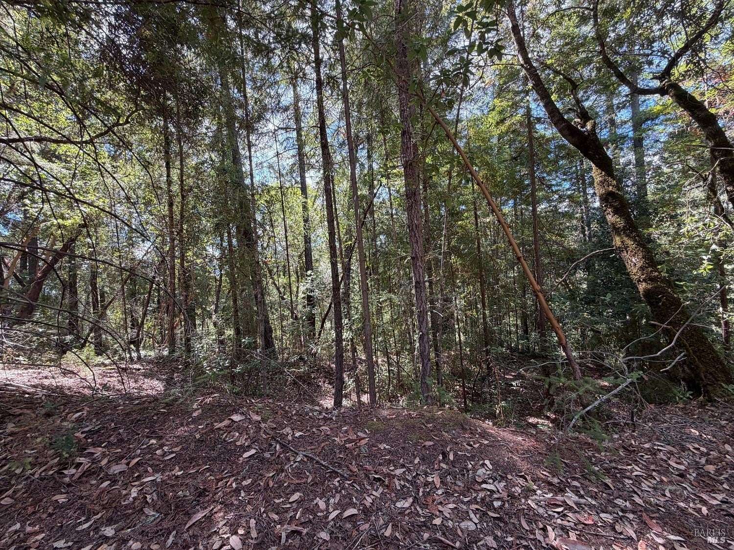 7.46 Acres of Residential Land for Sale in Sebastopol, California