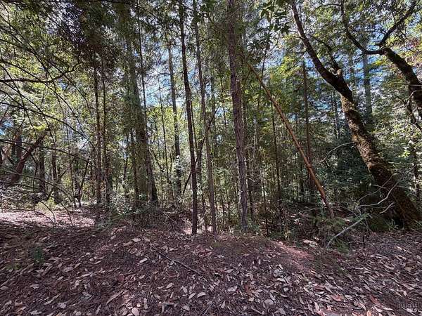 7.46 Acres of Residential Land for Sale in Sebastopol, California