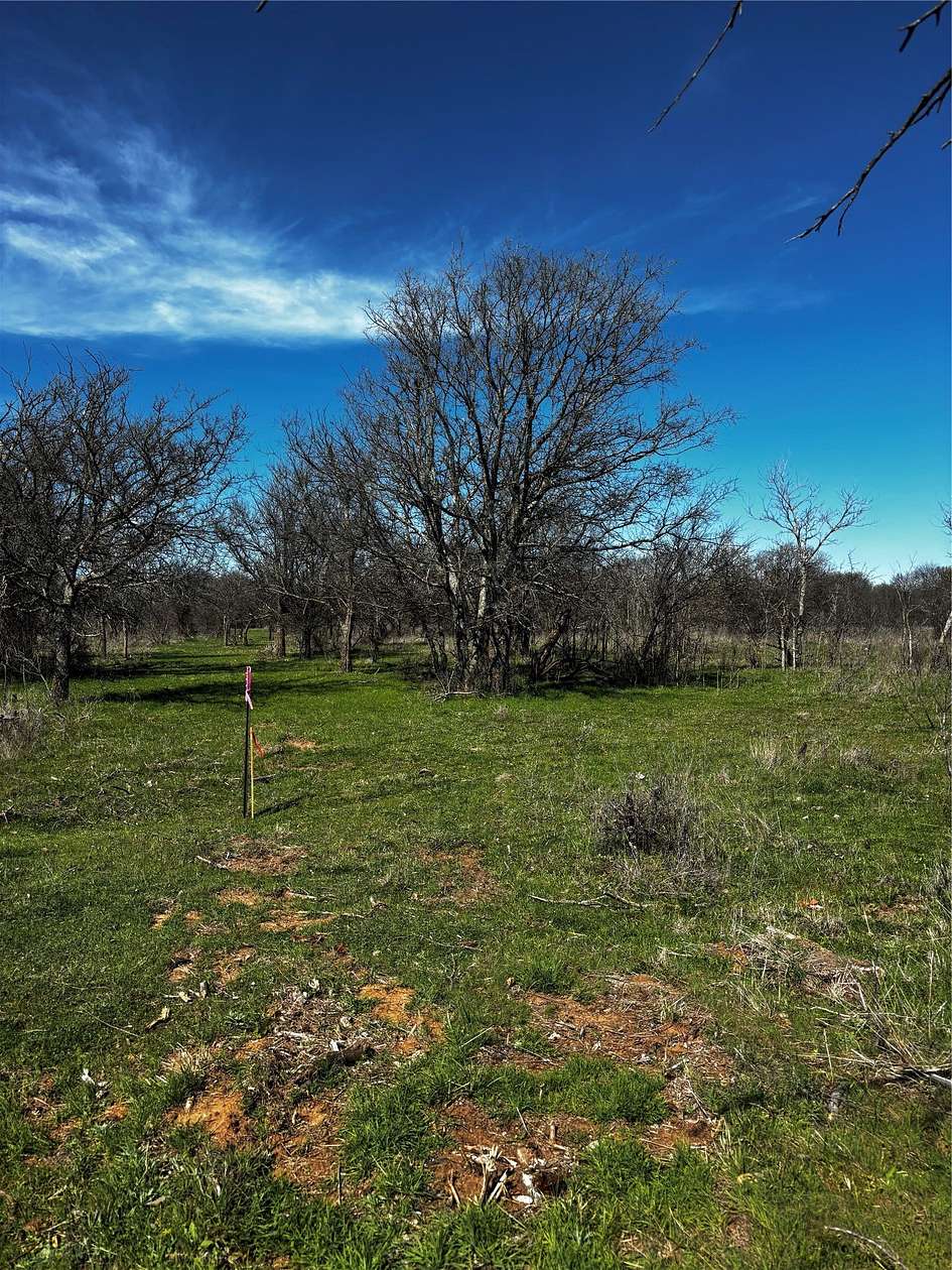 10 Acres of Land for Sale in Bellevue, Texas
