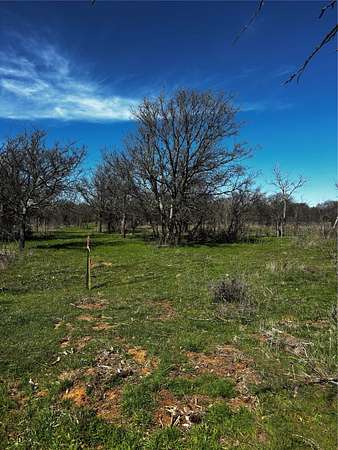 10 Acres of Land for Sale in Bellevue, Texas