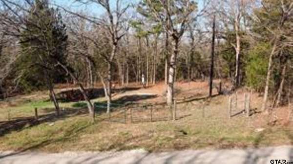 0.4 Acres of Residential Land for Sale in Murchison, Texas
