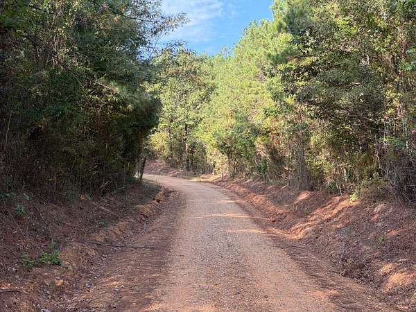 37 Acres of Recreational Land for Sale in Haynesville, Louisiana