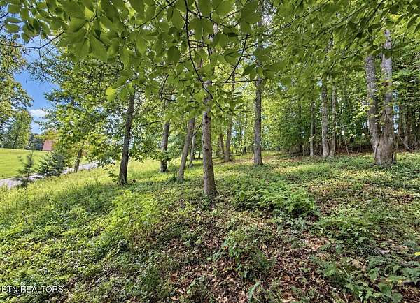 0.56 Acres of Residential Land for Sale in Caryville, Tennessee