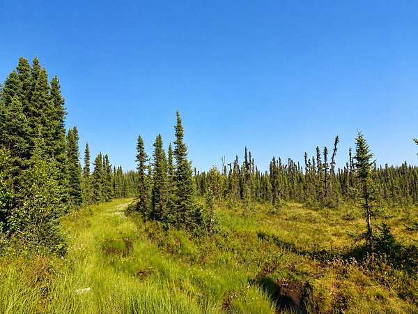 40 Acres of Recreational & Residential Land for Sale in Willow, Alaska