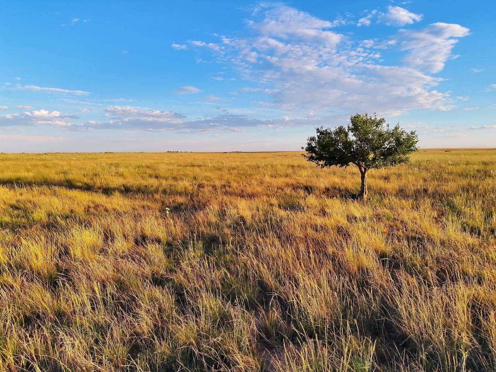 200 Acres of Recreational Land for Sale in Walsh, Colorado