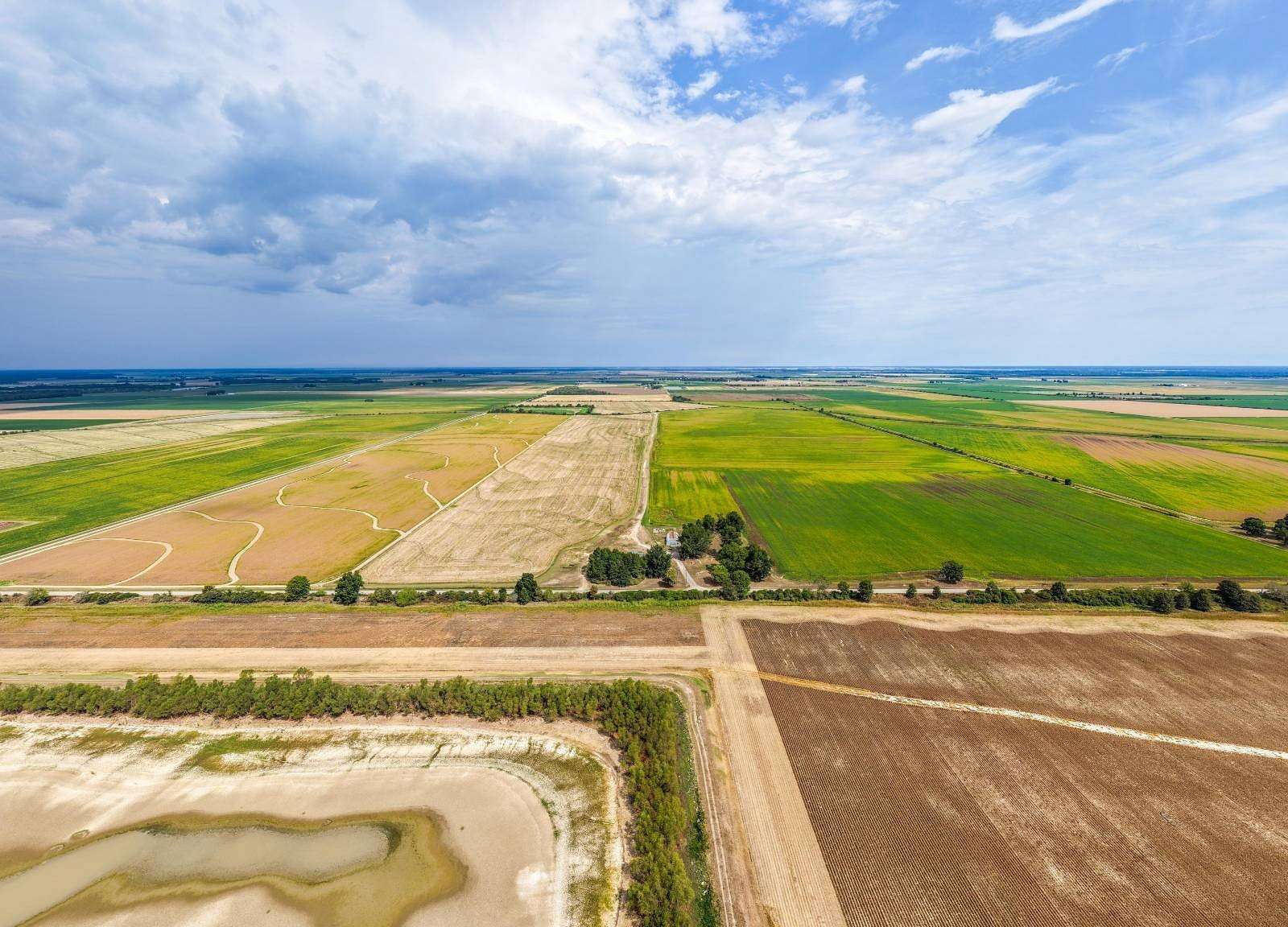 385 Acres of Land for Sale in Stuttgart, Arkansas