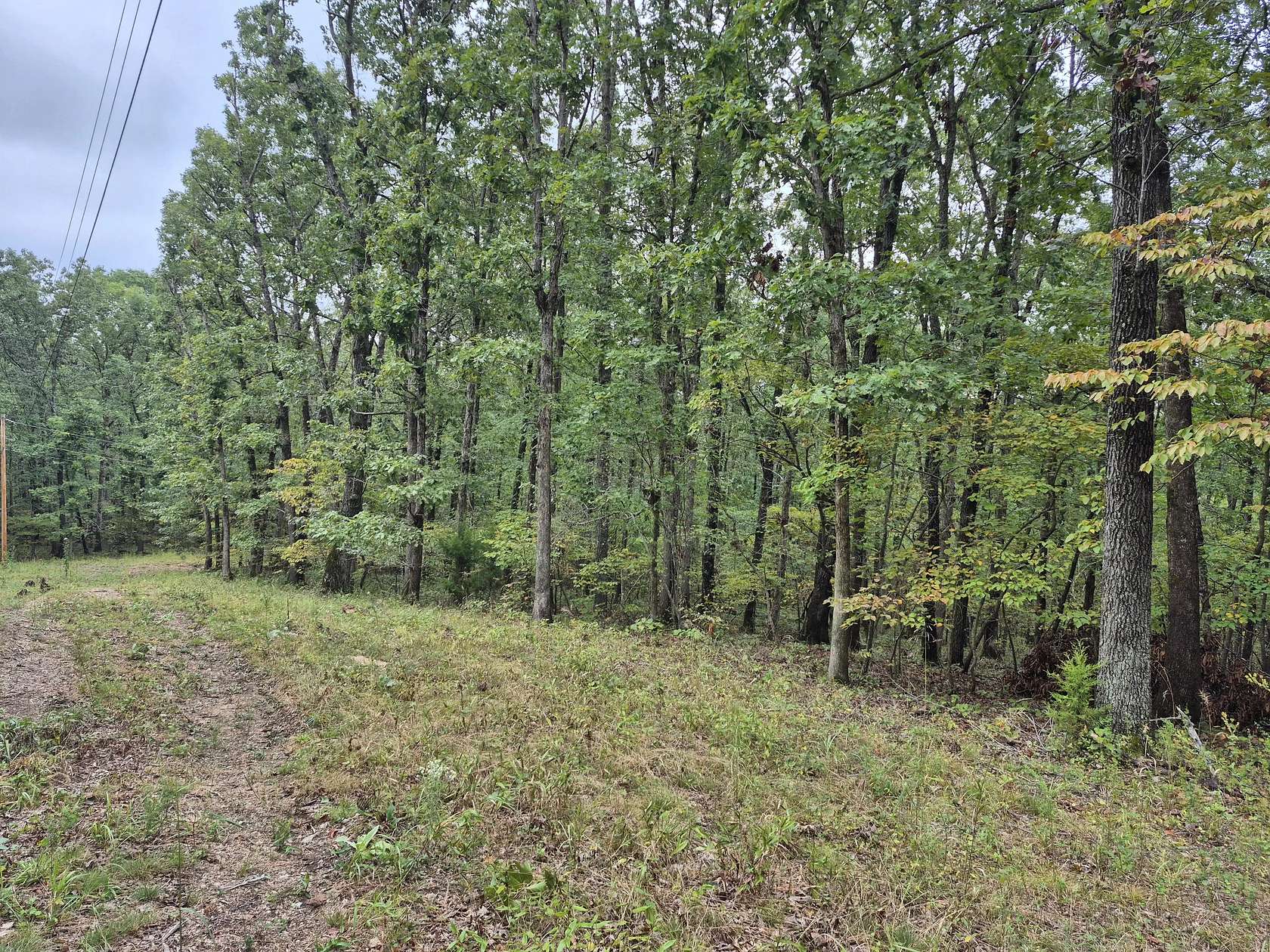 5.3 Acres of Land for Sale in Gravois Mills, Missouri