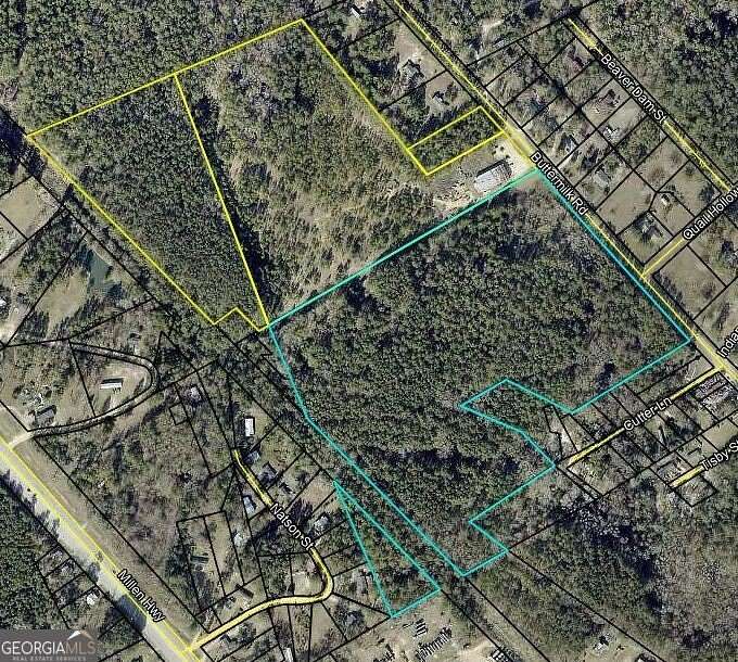 53.8 Acres of Improved Land for Sale in Sylvania, Georgia