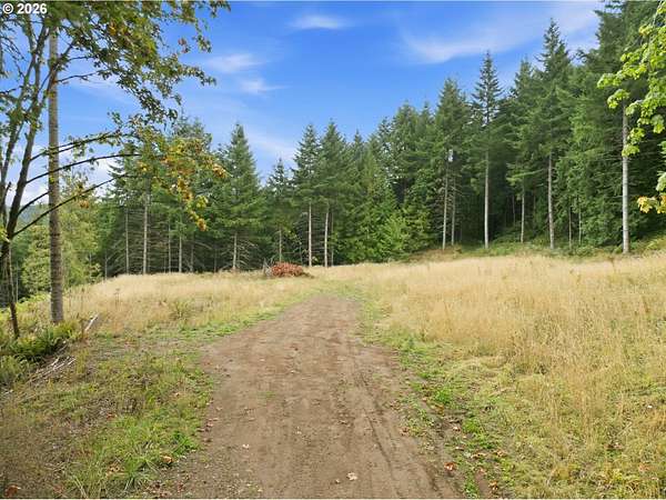 10.6 Acres of Land for Sale in Gaston, Oregon