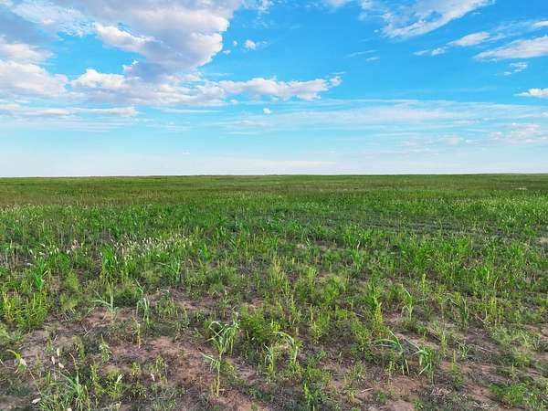 160 Acres of Land for Sale in Walsh, Colorado