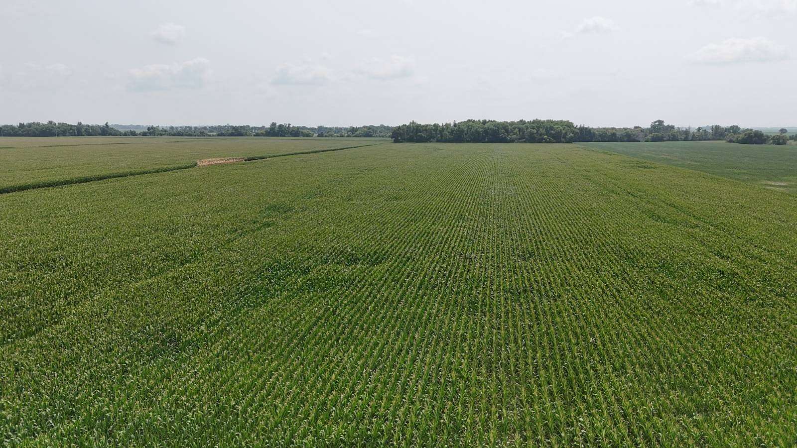 128 Acres of Agricultural Land for Auction in Baker, Minnesota