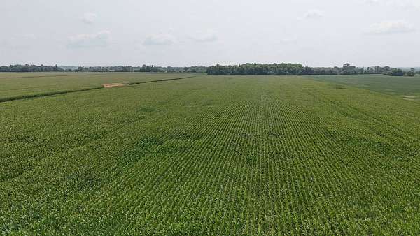 128 Acres of Agricultural Land for Auction in Baker, Minnesota