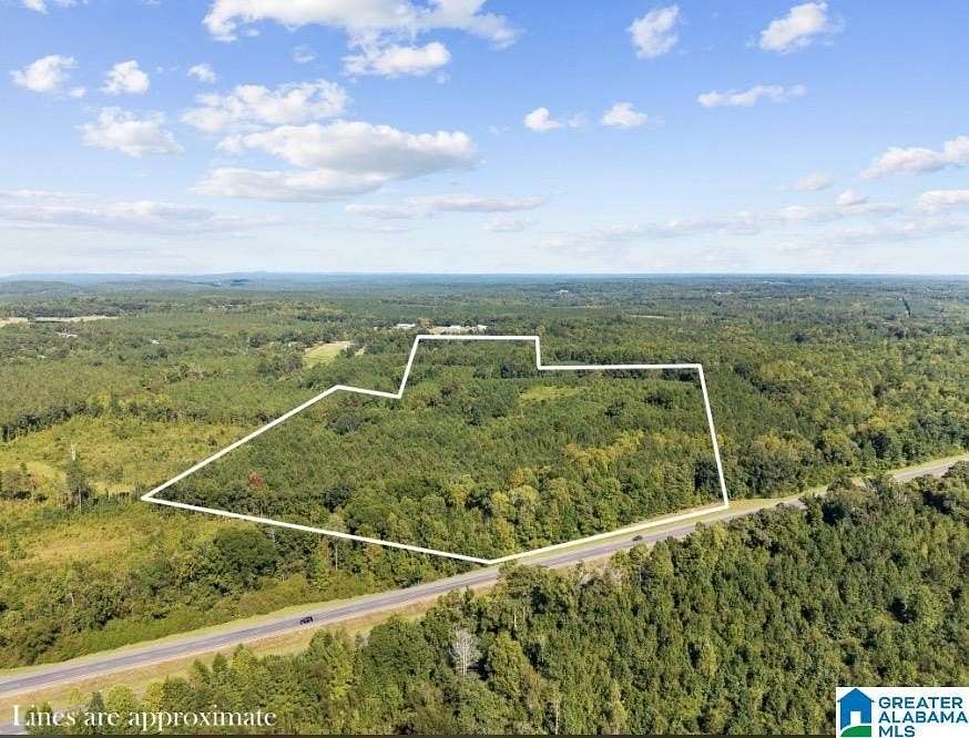 65 Acres of Agricultural & Residential Land for Sale in Clanton, Alabama