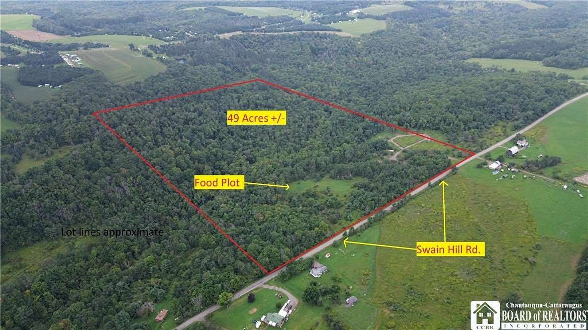 49 Acres of Land for Sale in Andover, New York