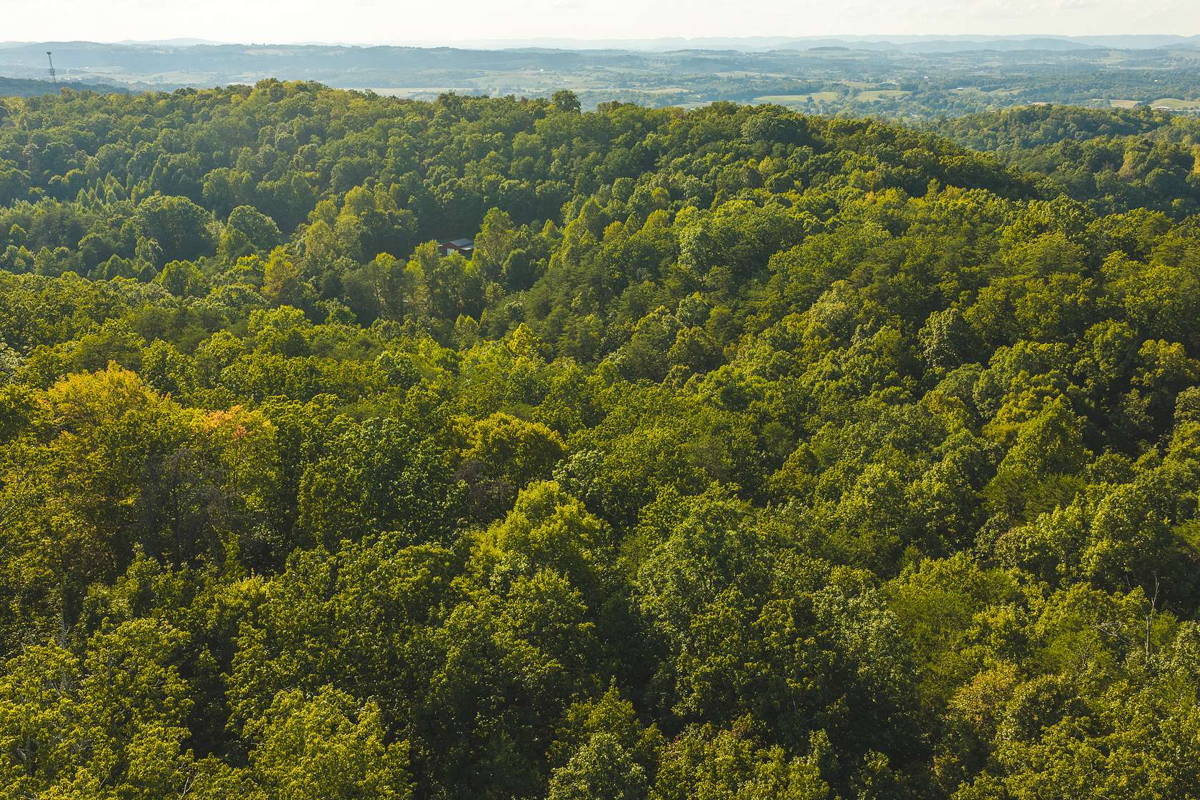 8.62 Acres of Land for Sale in Bulls Gap, Tennessee