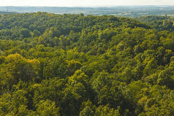 8.62 Acres of Land for Sale in Bulls Gap, Tennessee