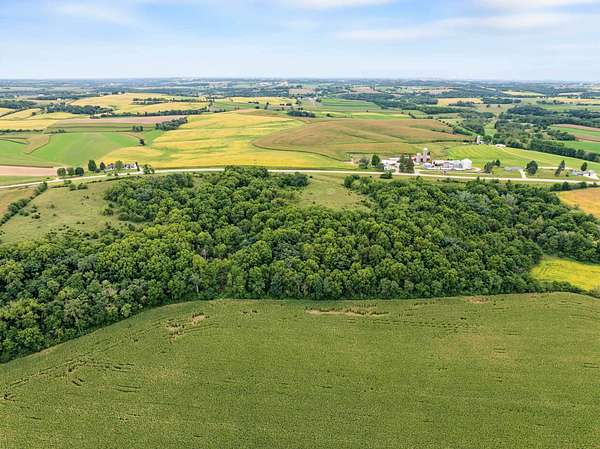 40 Acres of Land for Sale in Argyle, Wisconsin