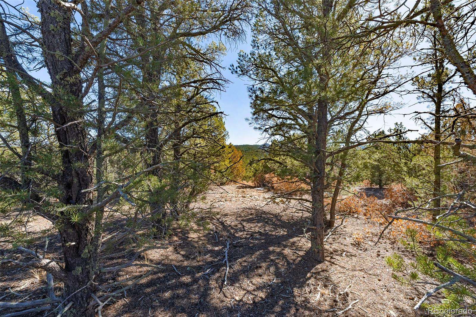 10.3 Acres of Recreational & Residential Land for Sale in Trinidad, Colorado