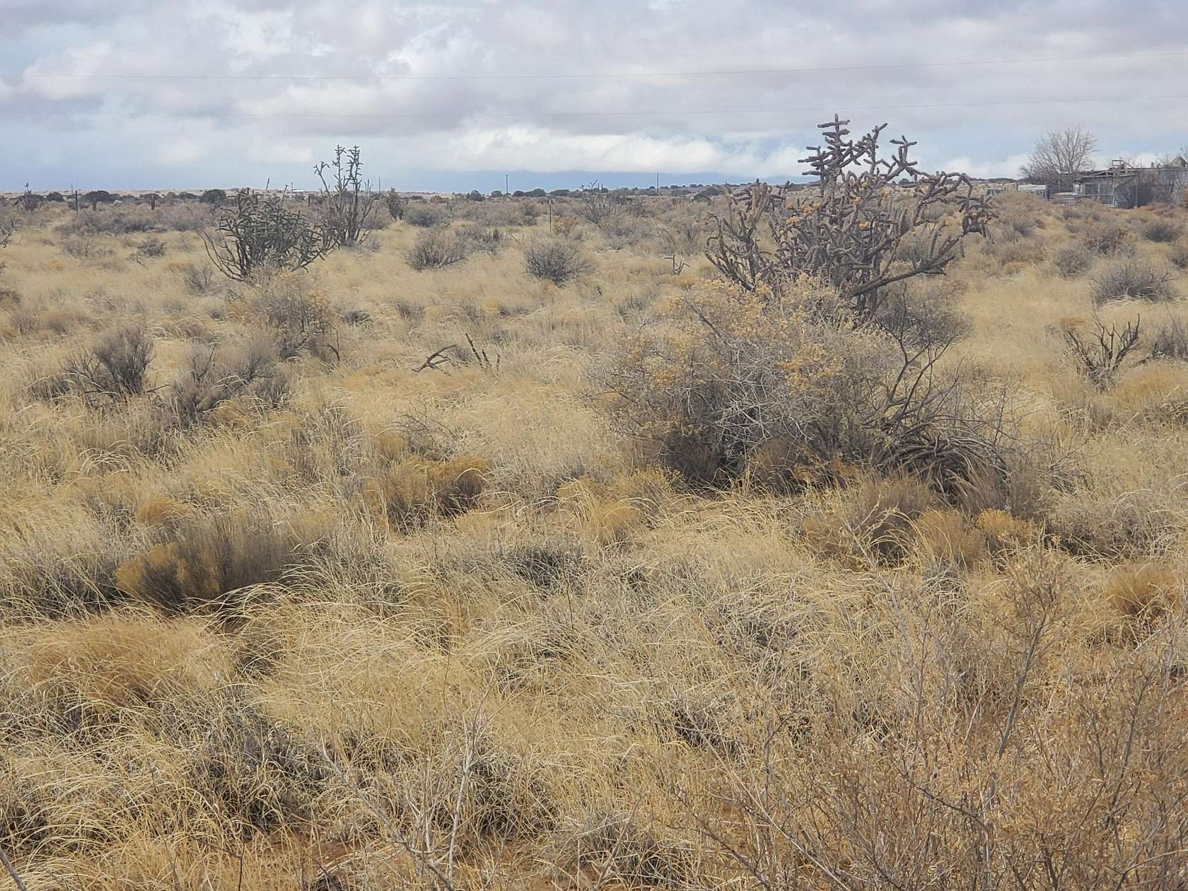 0.5 Acres of Residential Land for Sale in Rio Rancho, New Mexico