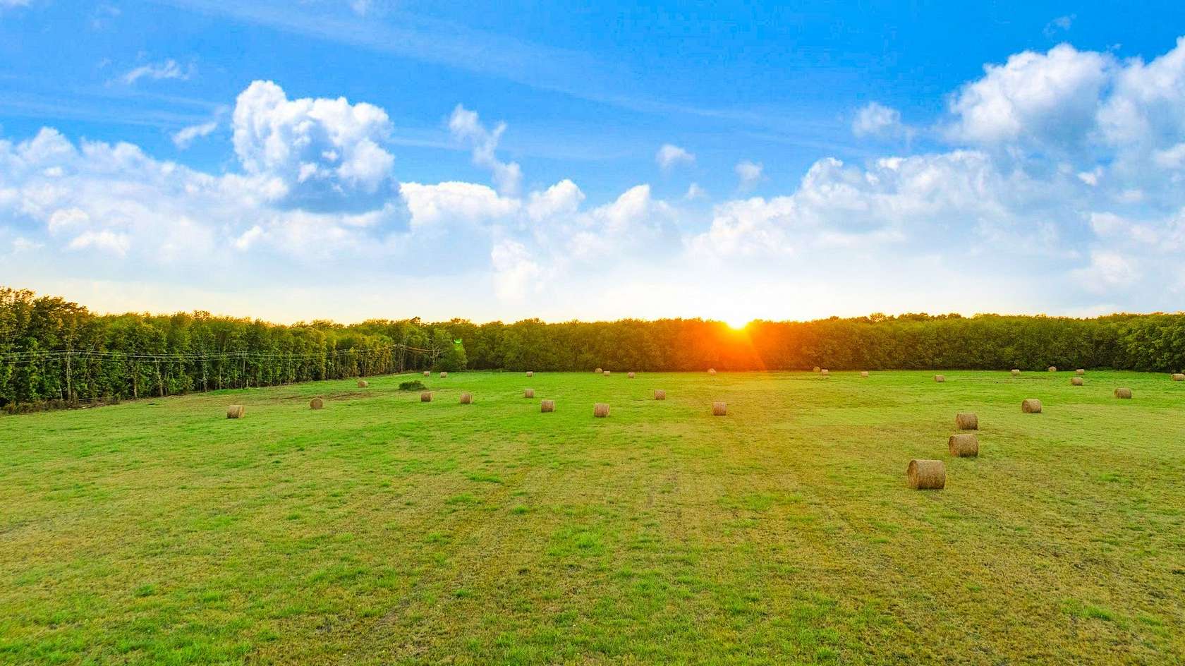 20 Acres of Land for Sale in Paris, Texas