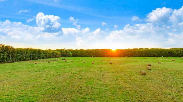 20 Acres of Land for Sale in Paris, Texas