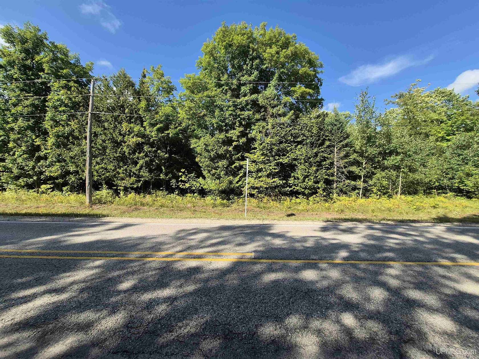 10 Acres of Recreational & Residential Land for Sale in Gulliver, Michigan