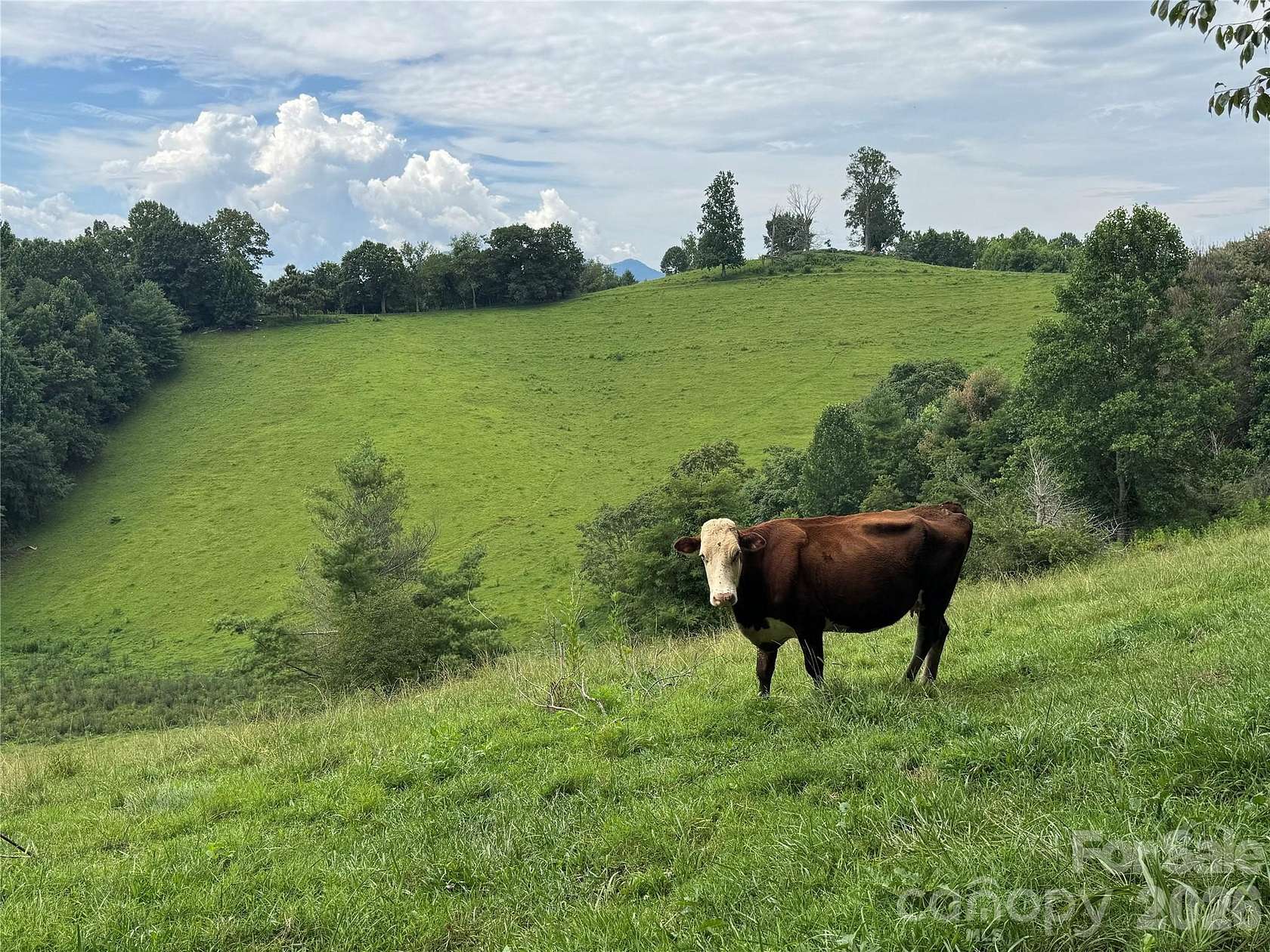 58.3 Acres of Recreational & Residential Land for Sale in Green Mountain, North Carolina