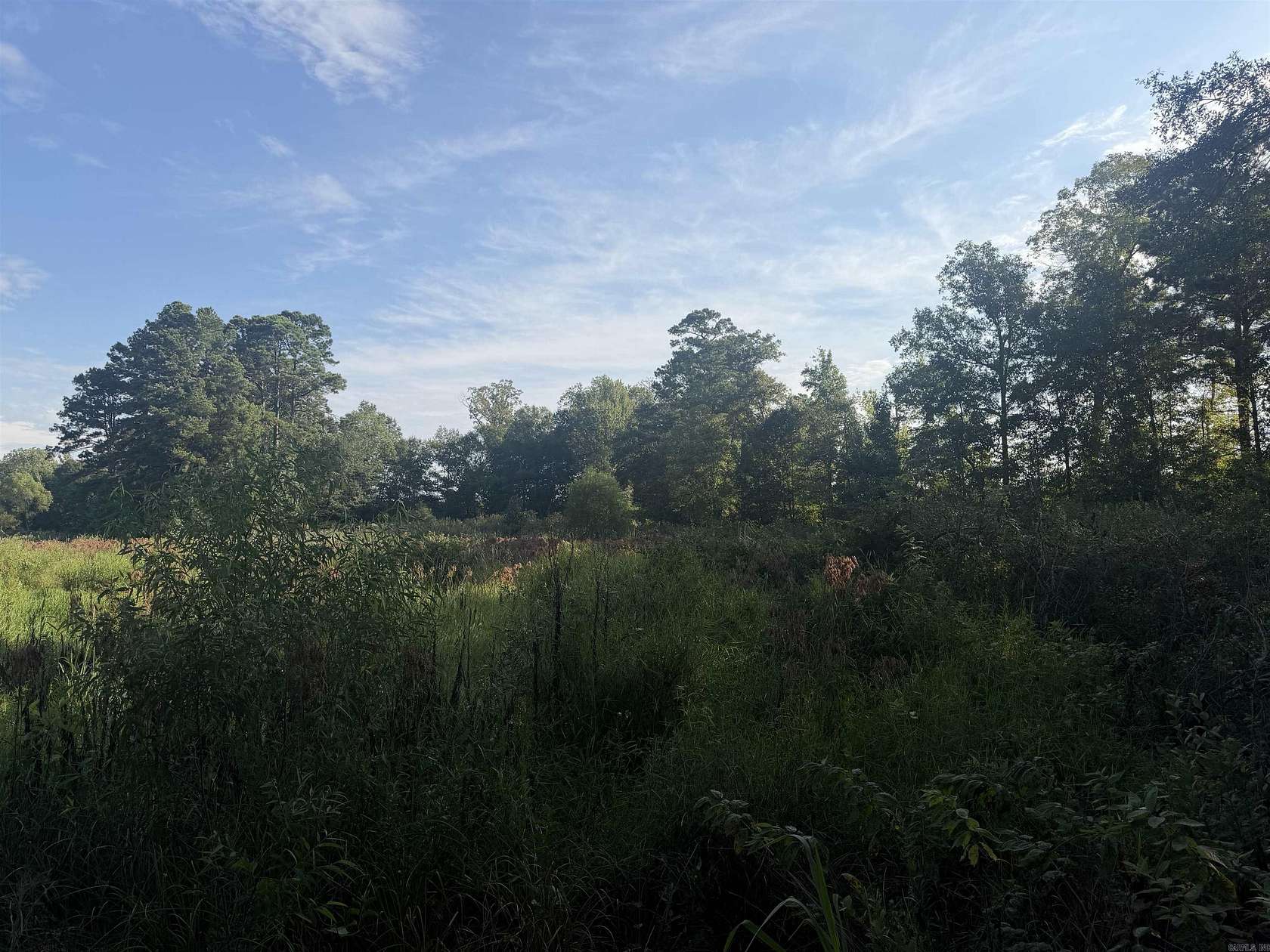 57 Acres of Recreational Land for Sale in Rosston, Arkansas
