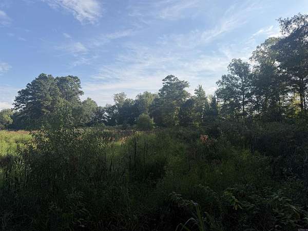 57 Acres of Recreational Land for Sale in Rosston, Arkansas