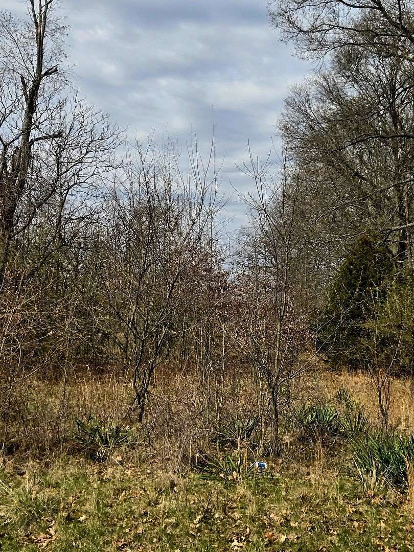 0.5 Acres of Residential Land for Sale in Kankakee, Illinois
