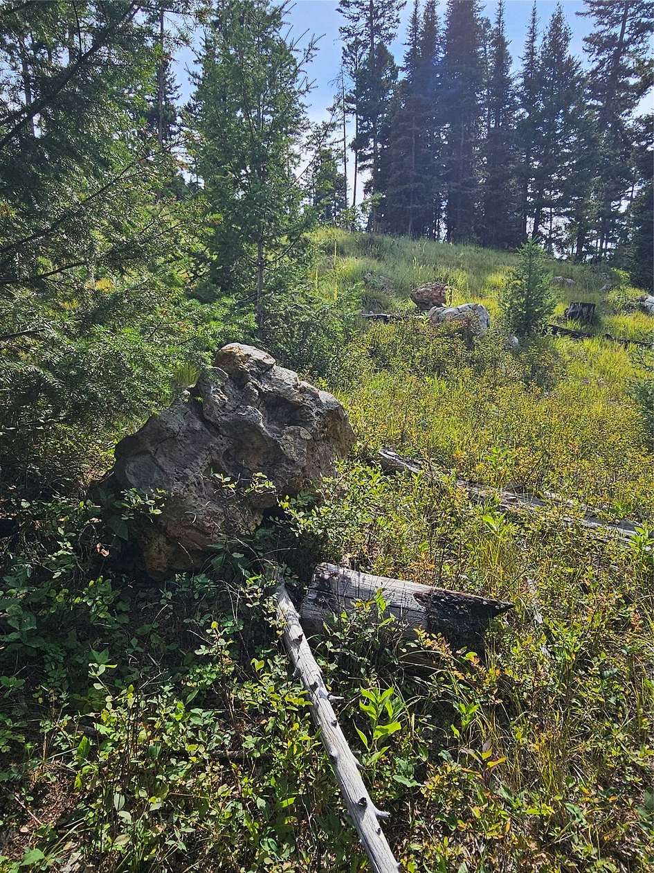 20 Acres of Recreational Land for Sale in Drummond, Montana