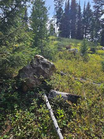 20 Acres of Recreational Land for Sale in Drummond, Montana