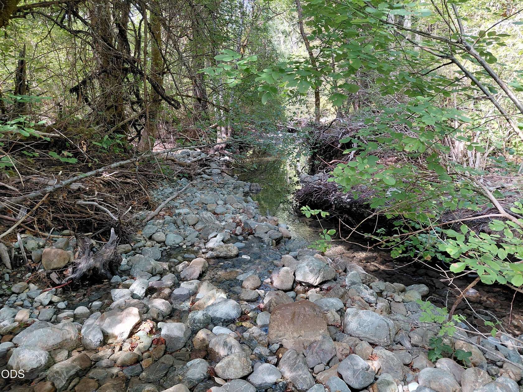 6.7 Acres of Residential Land for Sale in Selma, Oregon