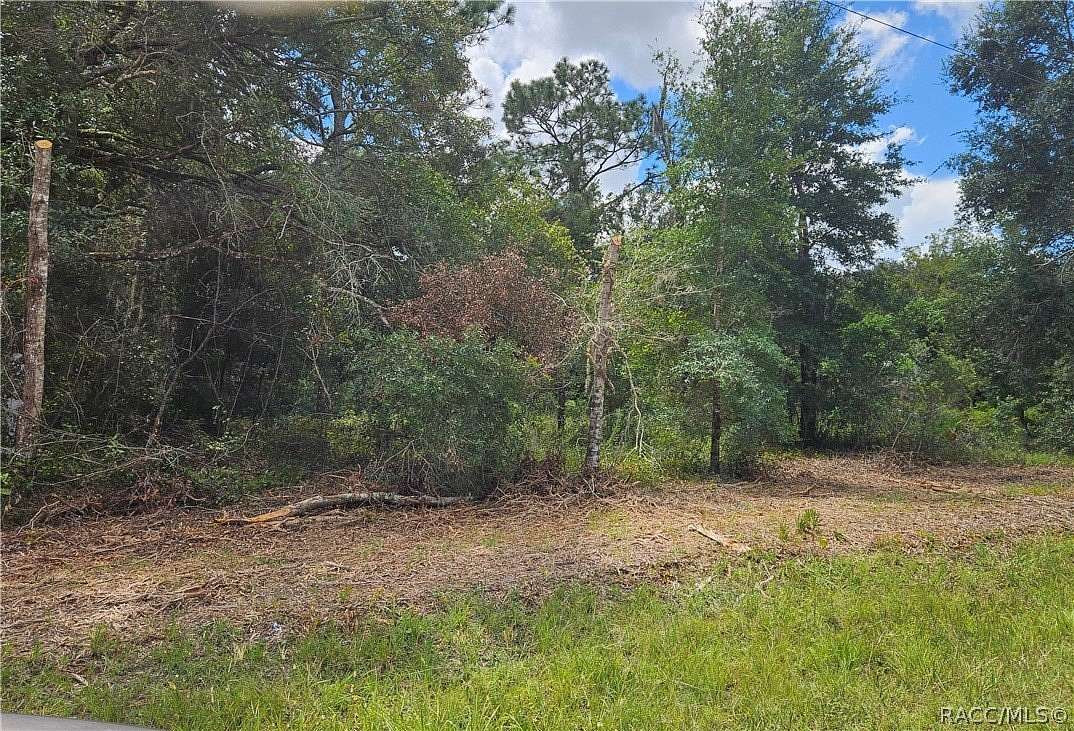 0.4 Acres of Residential Land for Sale in Webster, Florida