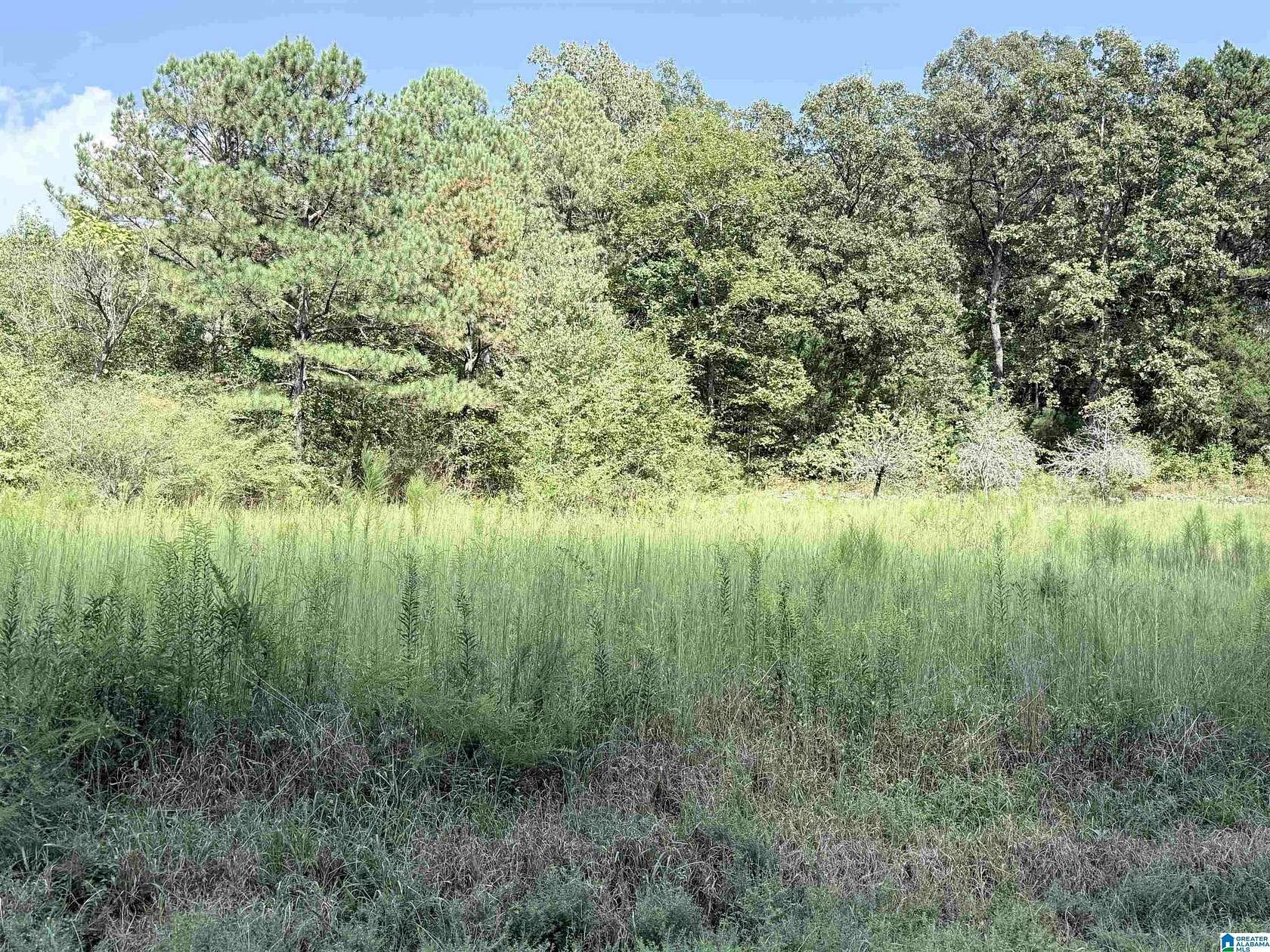 8.8 Acres of Residential Land for Sale in Anniston, Alabama