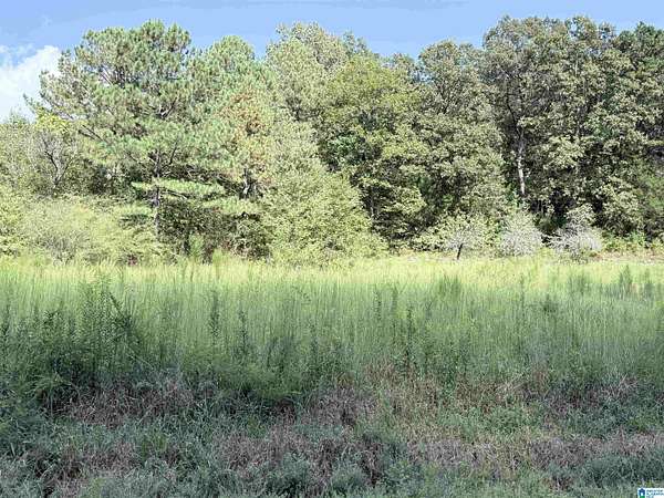 8.8 Acres of Residential Land for Sale in Anniston, Alabama