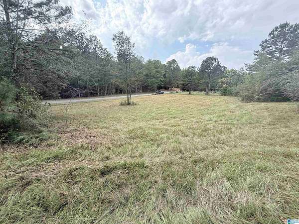 8.8 Acres of Residential Land for Sale in Anniston, Alabama