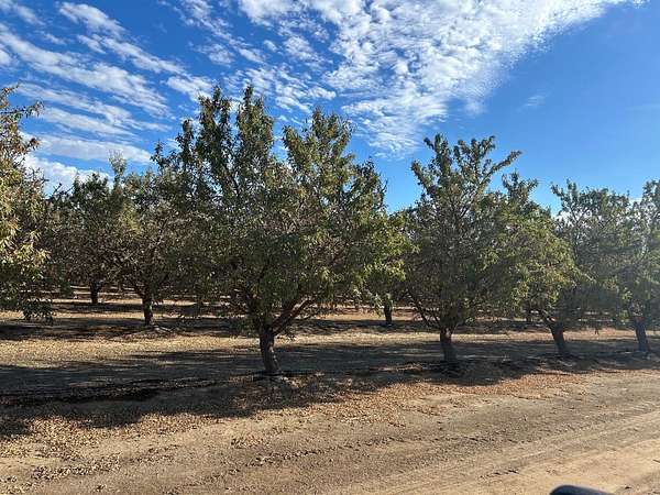 39.8 Acres of Land for Sale in Madera, California