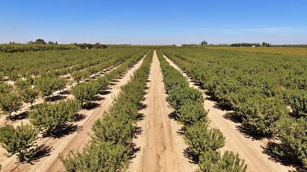 40 Acres of Land for Sale in Kerman, California