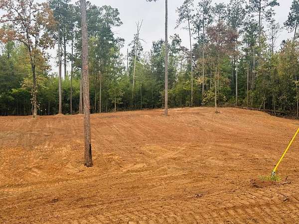 0.5 Acres of Residential Land for Sale in Abbeville, Alabama