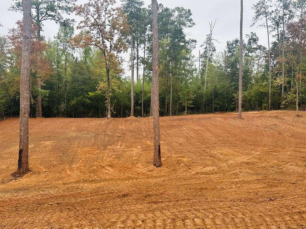 0.5 Acres of Residential Land for Sale in Abbeville, Alabama