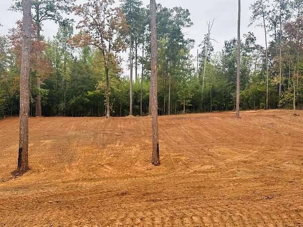 0.5 Acres of Residential Land for Sale in Abbeville, Alabama