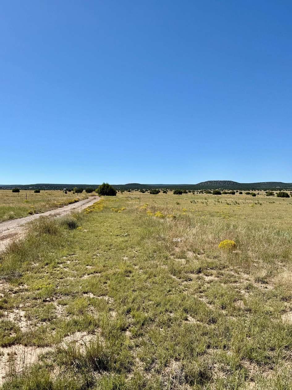 40 Acres of Land for Sale in Moriarty, New Mexico