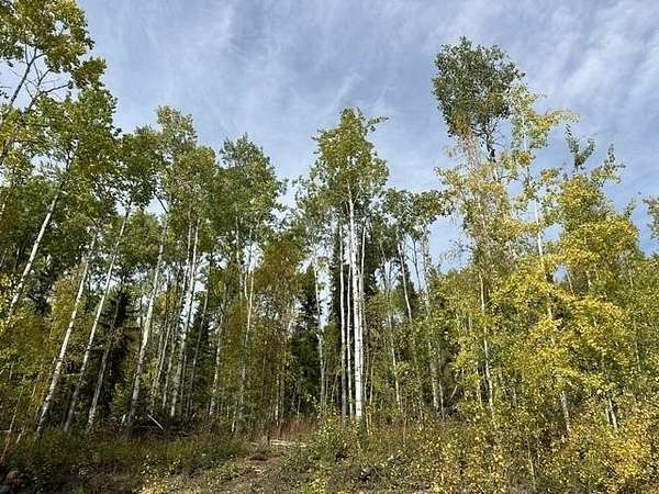 2 Acres of Residential Land for Sale in Fairbanks, Alaska